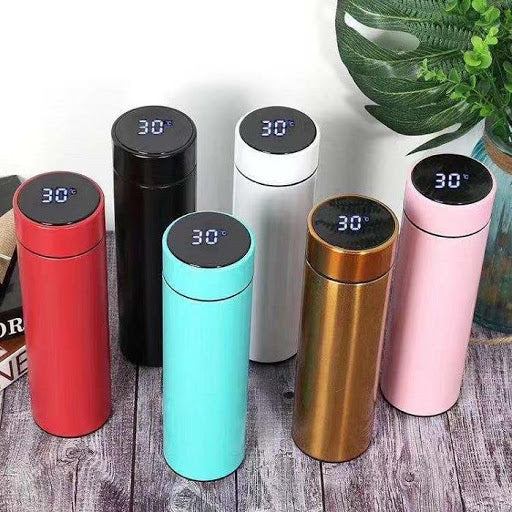 Water Bottle with LED Temperature Display, and light